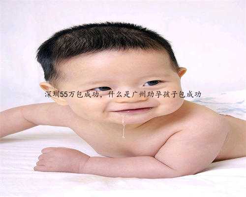 深圳55万包成功，什么是广州助孕孩子包成功