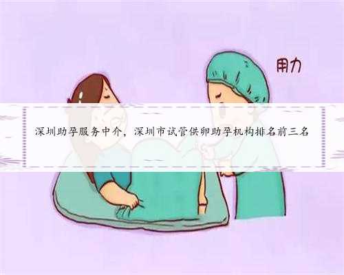 深圳助孕服务中介，深圳市试管供卵助孕机构排名前三名