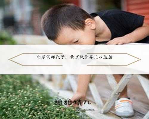 北京供卵孩子，北京试管婴儿双胞胎