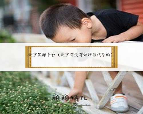 北京供卵平台（
