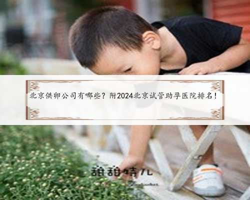 北京供卵公司有哪些？附2024北京试管助孕医院排名！