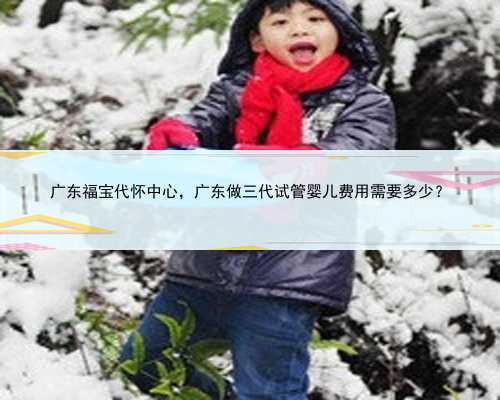 广东福宝代怀中心，广东做三代试管婴儿费用需要多少？