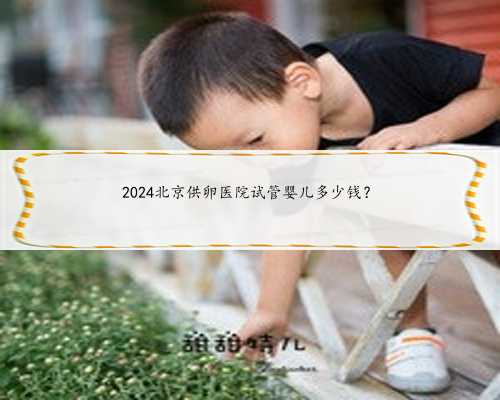 2024北京供卵医院试管婴儿多少钱？