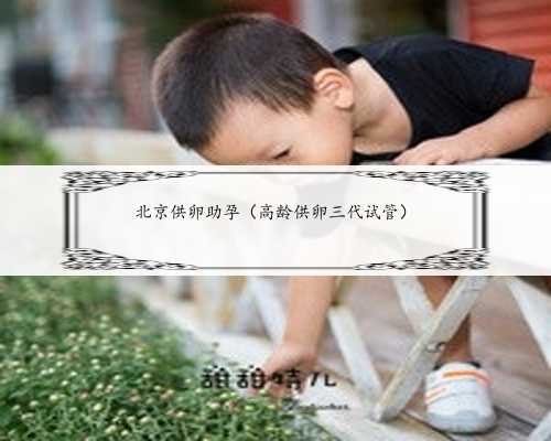 北京供卵助孕（高龄供卵三代试管）