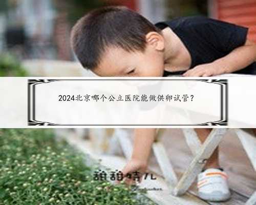2024北京哪个公立医院能做供卵试管？