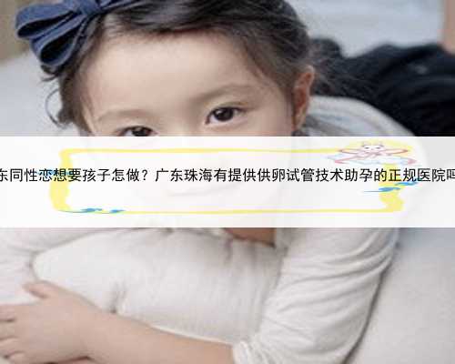 广东同性恋想要孩子怎做？广东珠海有提供供卵试管技术助孕的正规医院吗？