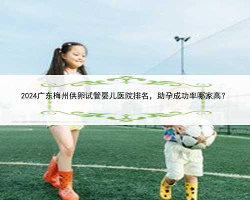 2024广东梅州供卵试管婴儿医院排名，助孕成功率哪家高？