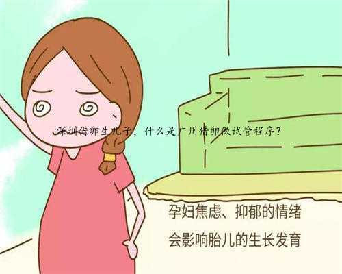 深圳借卵生儿子，什么是广州借卵做试管程序？