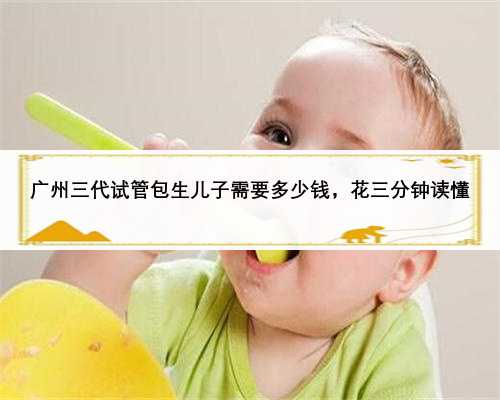 广州三代试管包生儿子需要多少钱，花三分钟读懂